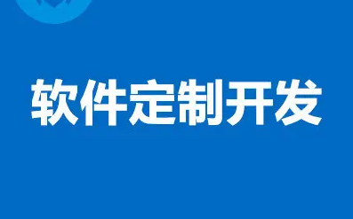 软件开发具体实施内容