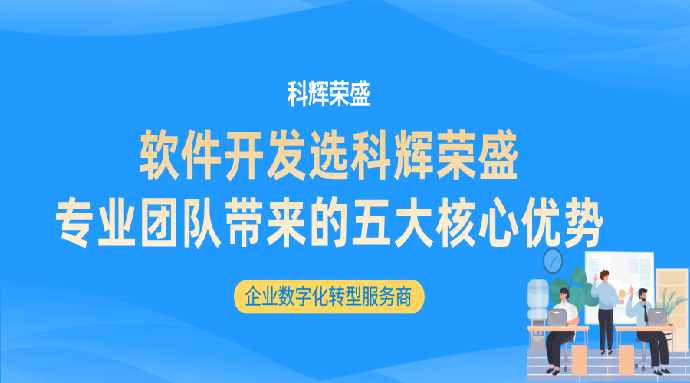 软件开发选科辉荣盛：专业团队带来的五大核心优势